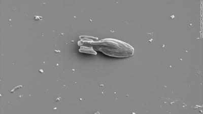 star trek microship 11-8-20.jpg