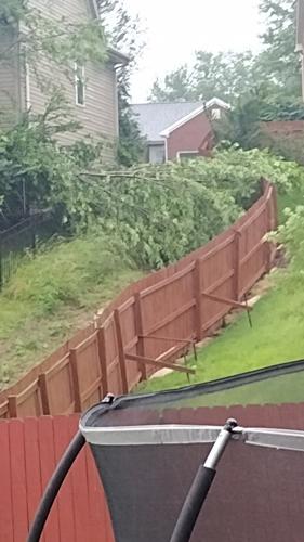 Poplar Hill neighborhood.jpg