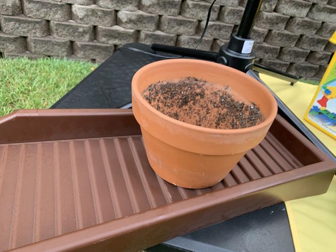 MOSQUITO ABATEMENT - KEITH KAISER - 6-25-19  (8).jpg