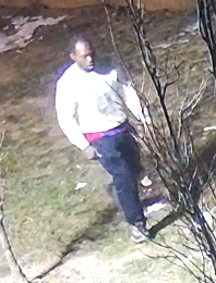 Person of interest Winkler Avenue.png