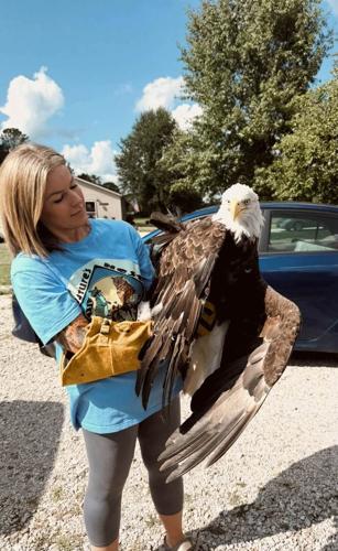Nature's Nest Wildlife Rehabilitation with eagle