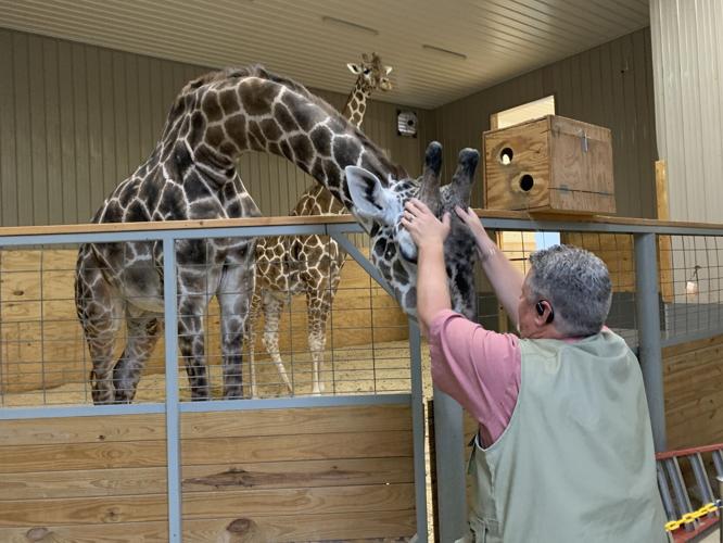 Wilstem Wildlife Park