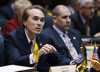 Sen Brentz Waltz speaks during a joint committee hearing.jpeg
