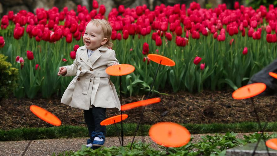 CHURCHILL OPENING1314.jpg