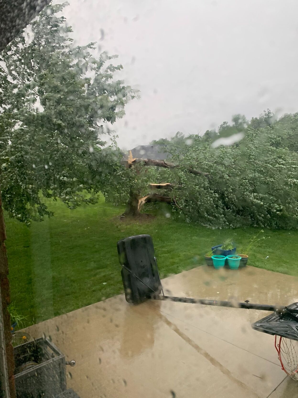 Storm damage in Kentucky.jpg
