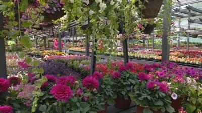 Wallitsch Gardens