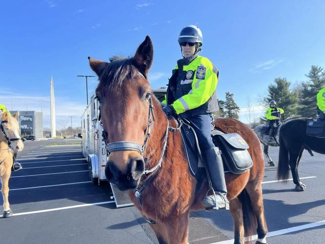 Horse for LMPD mounted patrol