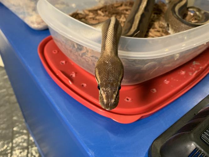 Kentucky Science Center Spooky Halloween