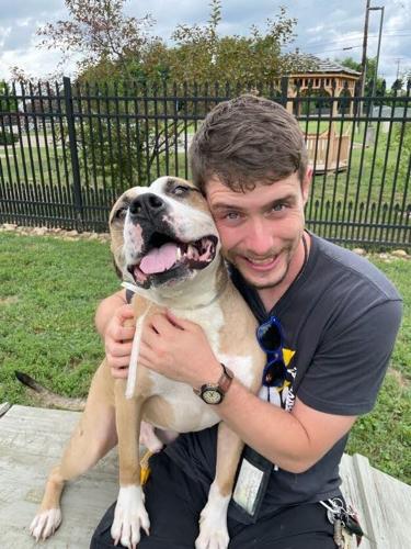 Gorilla Glue Dog (2).jpg