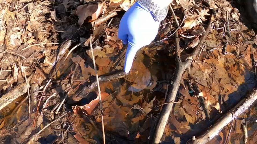 Louisville Metro Health Dept. mosquito pre-treatment
