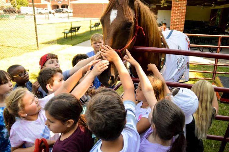 Hank the Horse with Kids