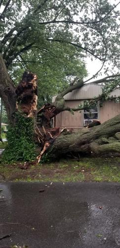 Damage in Campbellsville.jpg