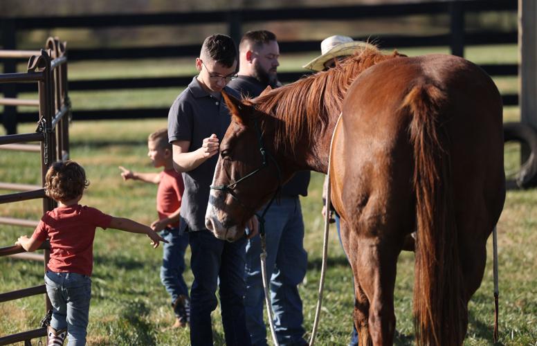 Meet the Horses