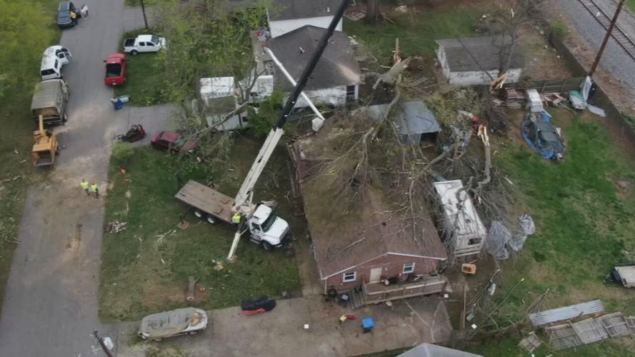 Tree on Kuntz family home in south Louisville 4-6-23 (2).jpeg