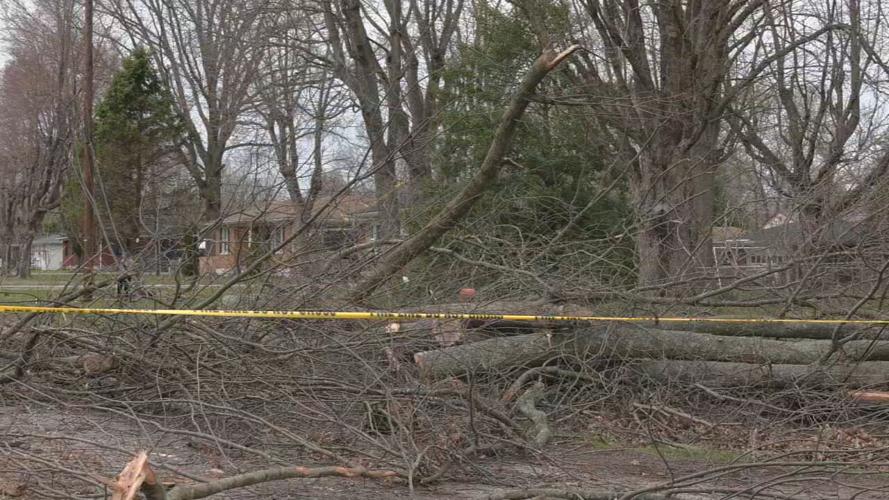 Dixie Highway storm debris cleanup 3-7-23