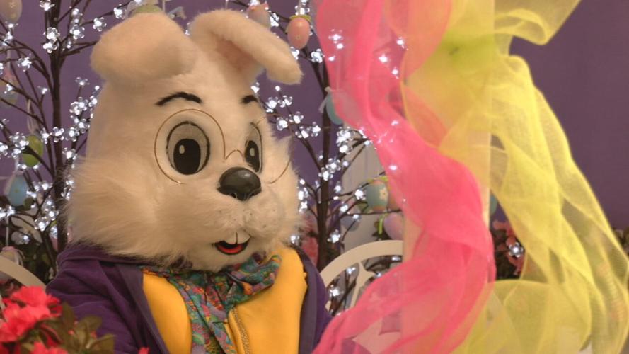 JEFFERSON MALL EASTER BUNNY