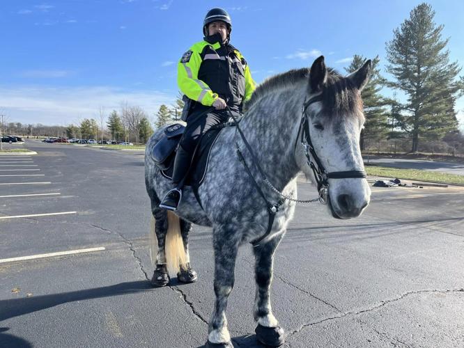 Horse LMPD mounted patrol