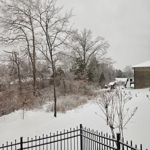 ICE - Fern Creek - Jamie Beach 1-6-2025.jpg