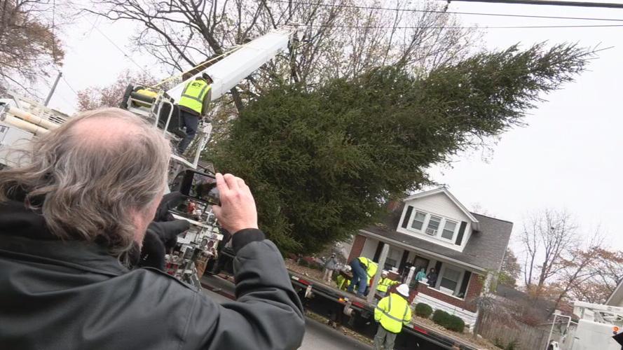 Light Up Louisville's 2022 Christmas tree cut down in Louisville's Audubon neighborhood