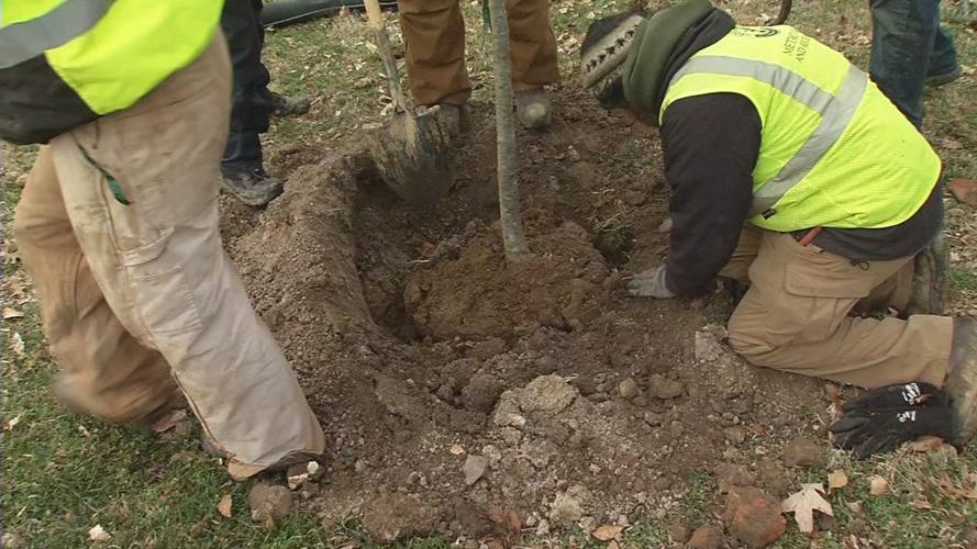 MLK TREE PLANTING 1-17-20 (1).jpg
