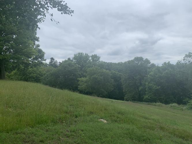 Beargrass Preserve