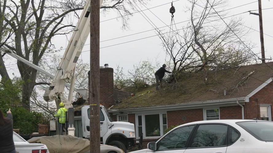 New Leaf Tree service removes tree from house 4-6-23.jpeg