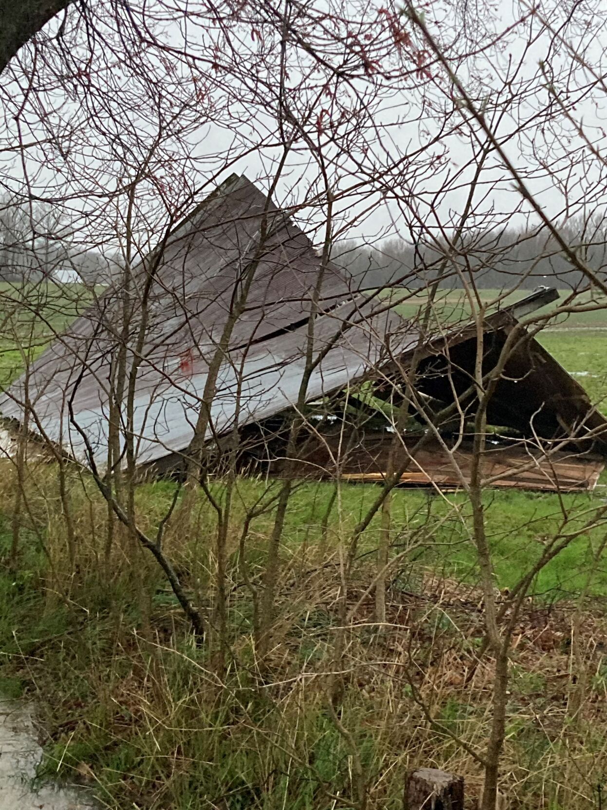 Damaged Shed