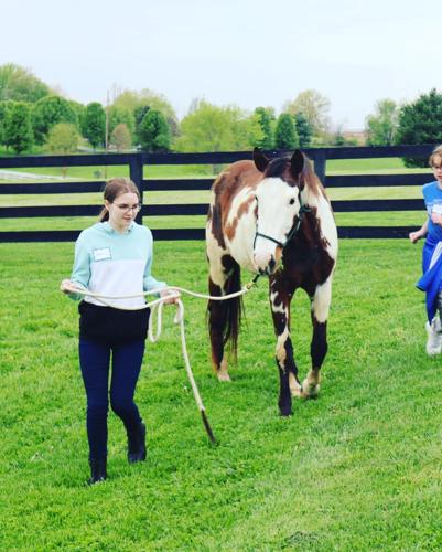 Veteran's Club Inc. holds 1st Military Child Equine Therapy event of 2021