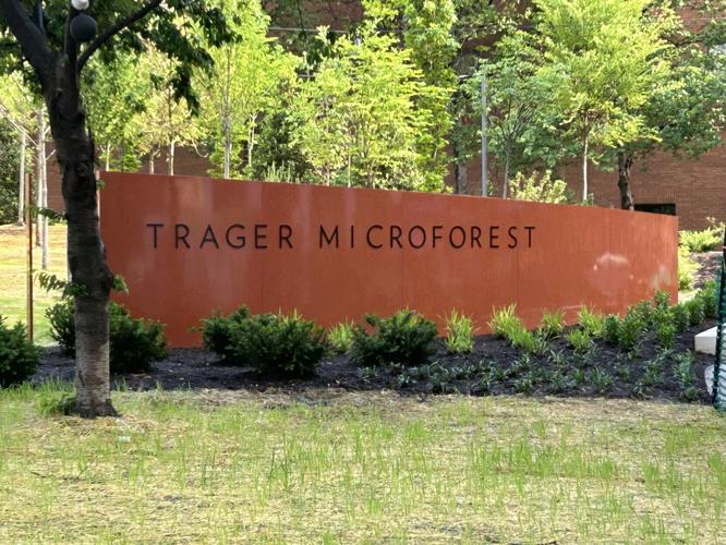 Trager MicroForest