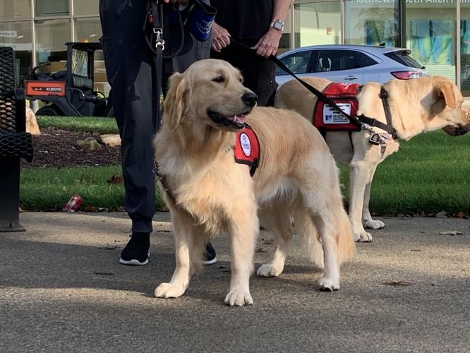 NORTON HEALTHCARE - FACILITY DOG 10-14-2021  (8).JPG