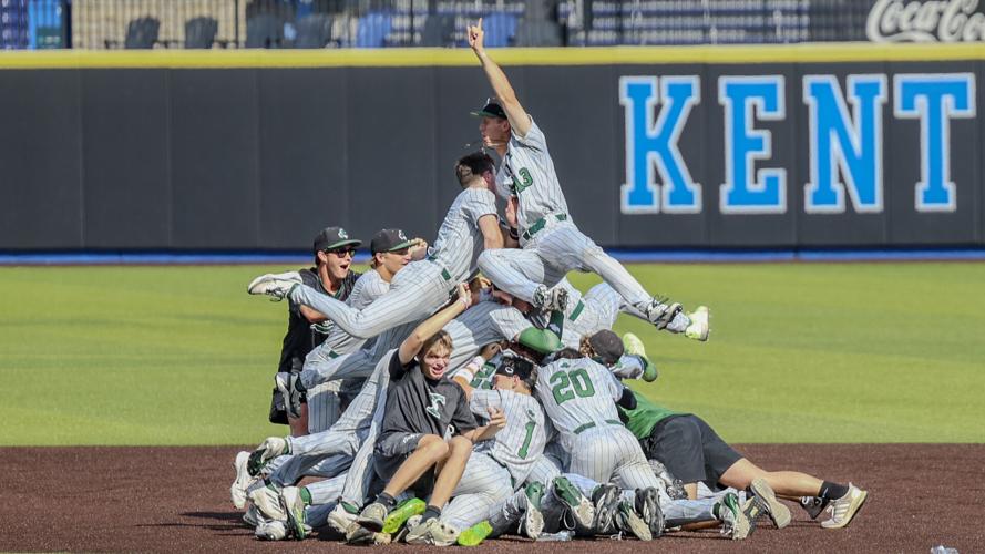 Trinity dogpile