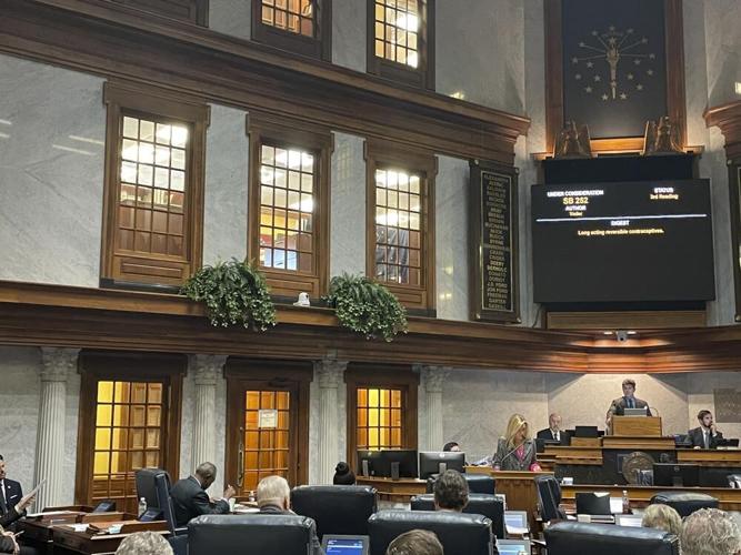 Indiana Democrat Sen Shelli Yoder speaks.jpeg