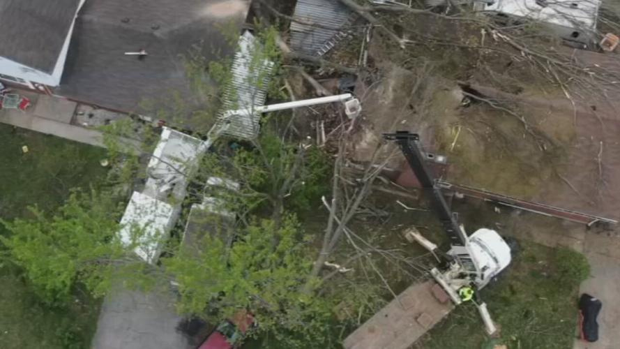 Tree on Kuntz family home in south Louisville 4-6-23 (3).jpeg