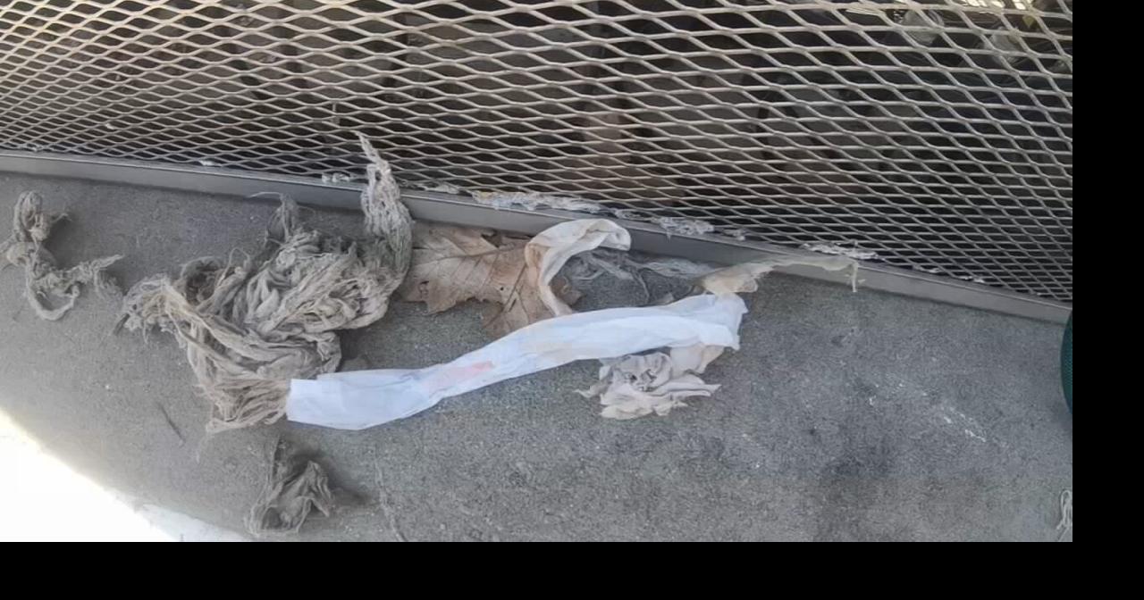 City of Bloomfield asking residents to stop flushing face masks News