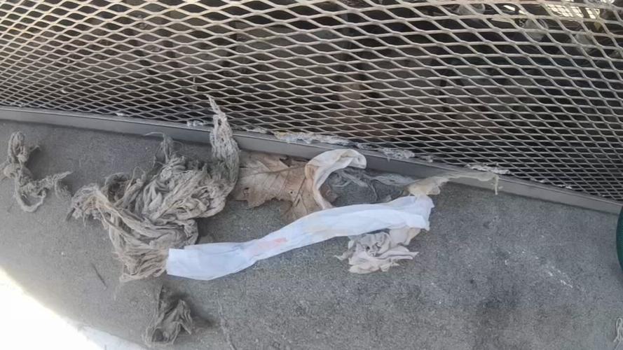 Bloomfield masks in sewer 4-22-21 (4).jpeg