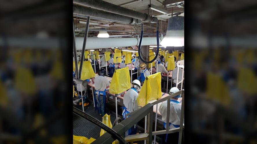 JBS Plant coronavirus safety measures