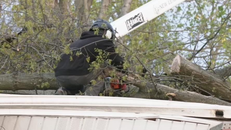 New Leaf Tree Service in south Louisville 4-6-23.jpeg