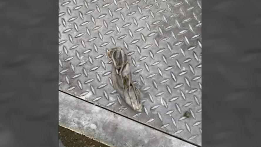 Bloomfield masks in sewer 4-22-21 (3).jpeg