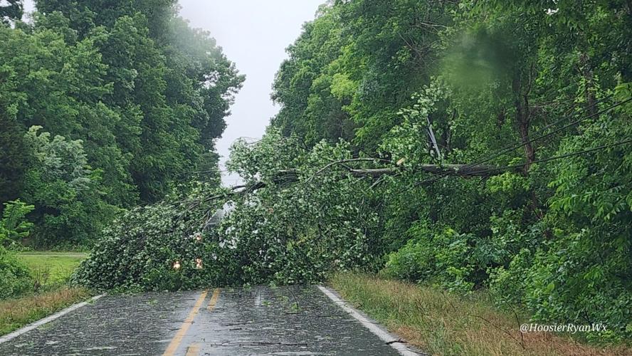 Trees down in Boston, Indiana.jpg
