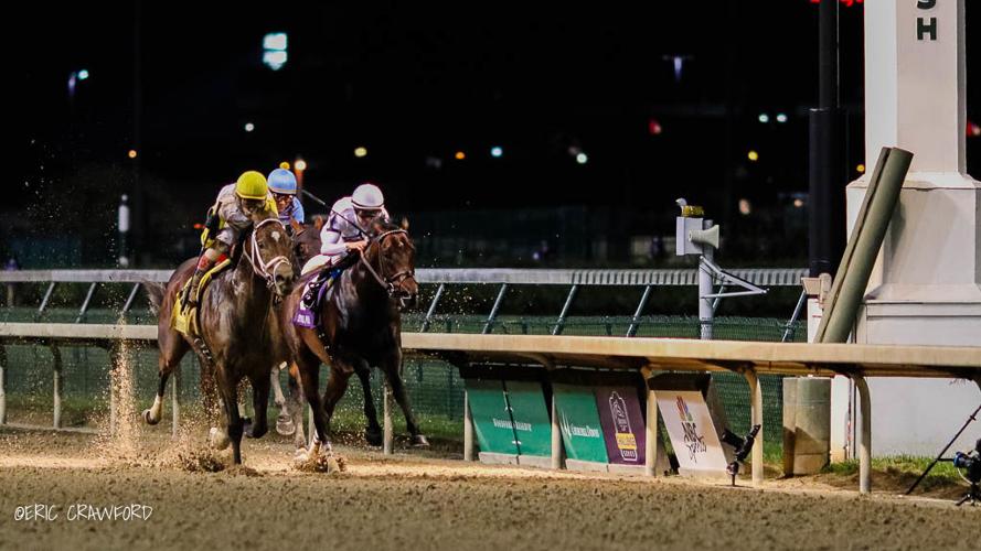 Seeking the Soul wins Stephen Foster