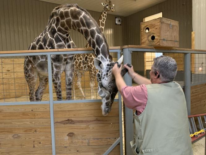 Wilstem Wildlife Park