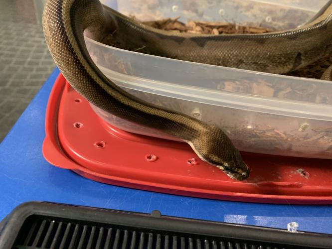 Kentucky Science Center Spooky Halloween