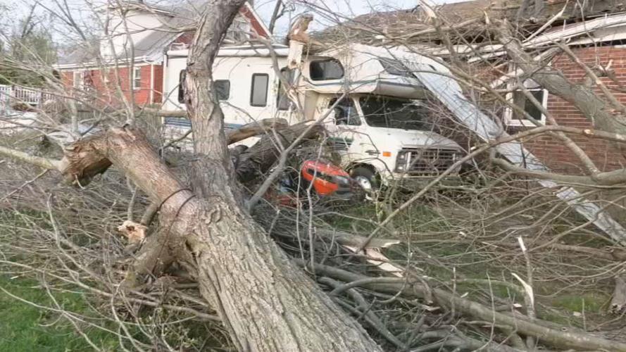 Tree on Kuntz family home in south Louisville 4-6-23 (1).jpeg
