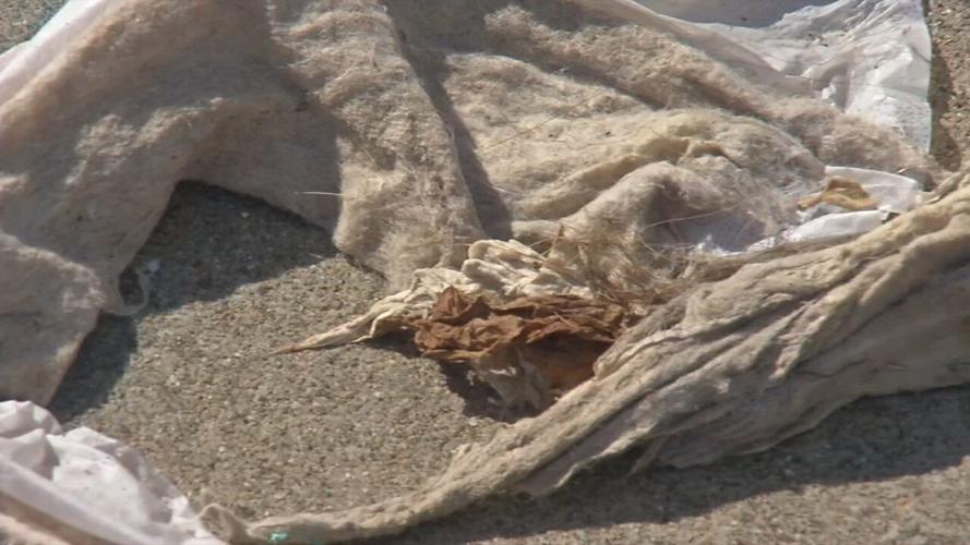 City of Bloomfield asking residents to stop flushing face masks News