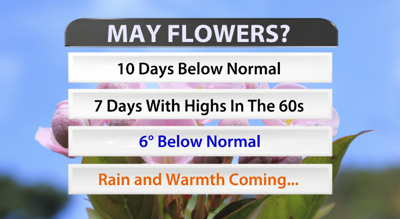 may flowers.png