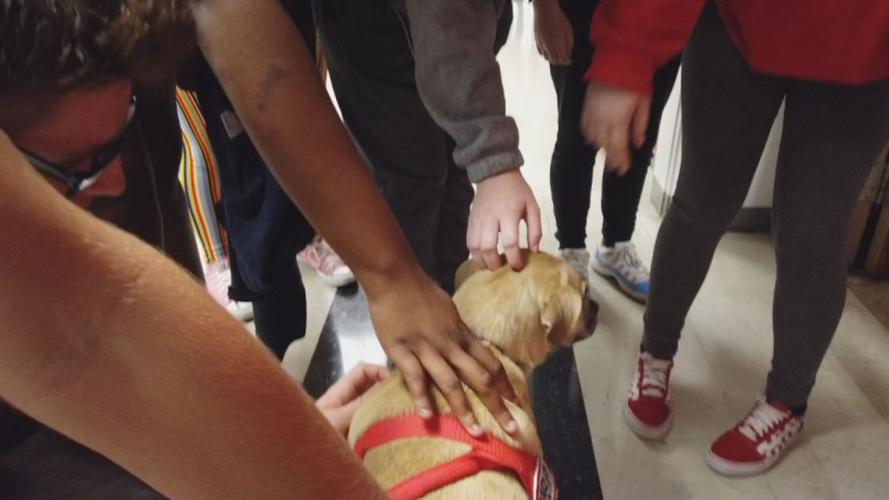 Pleasant Ridge Park High School eases student stress with newest addition