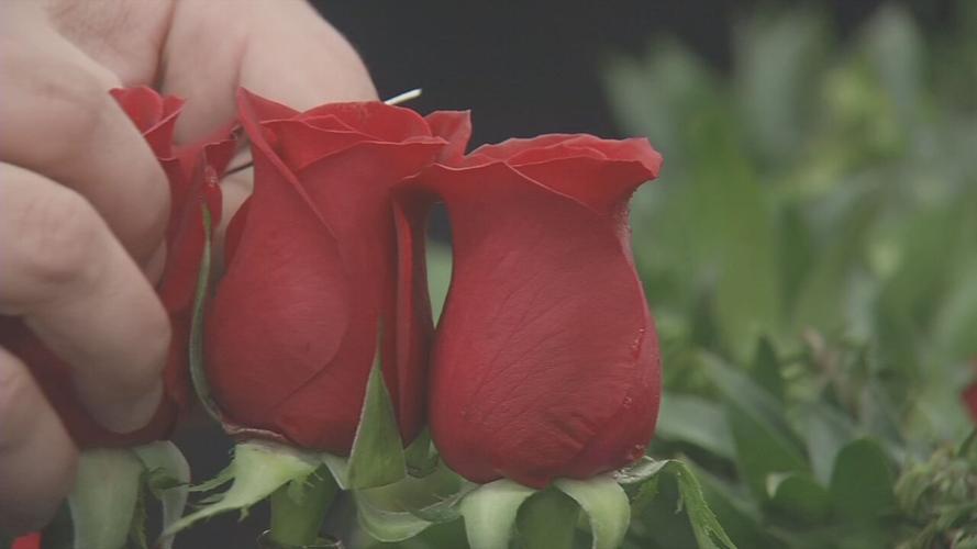 KROGER GARLAND OF ROSES 2021 (5).jpeg