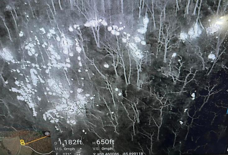 Drone picture from CCEMA on Borden fire - 11.23.23