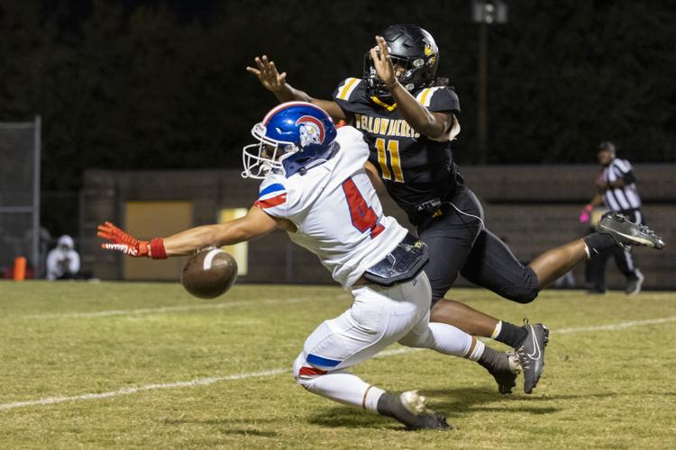Shchuka_20241018_CAL_Central_295.jpg