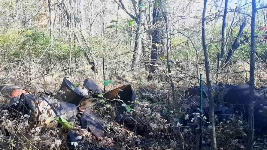 Gully of the drums site in Jefferson Memorial Forest - 6.21.24